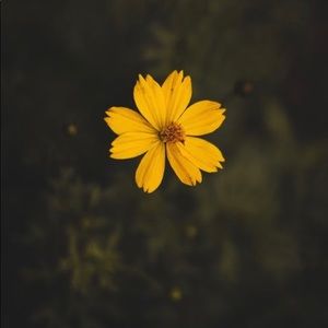 Meet your Posher, Clare and payton